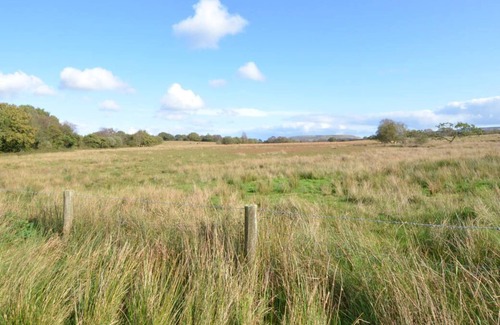 Margam House | Barn 3 - Chicken in Ystradgynlais