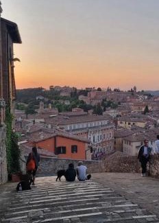 Old Town Apartment | Bartolo43
