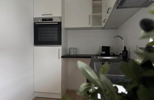 Altach Apartment | Bauern 65