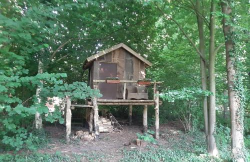 Ladbergen Other | Baumhausnächte