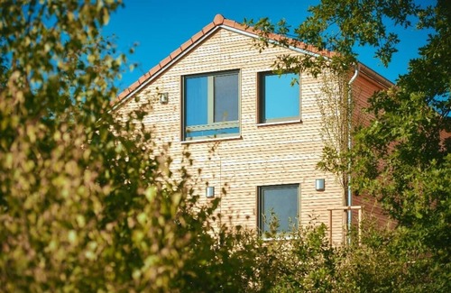 Steinberg am See Apartment | Beach chalet (80sqm) with kitchenette and lakeside terrace