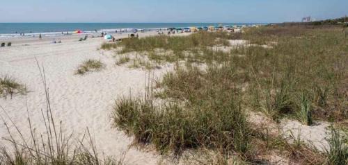 Myrtle Beach Apartment | Beach Colony Resort