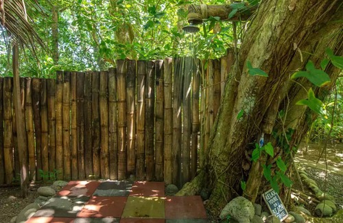 Punta Uva Villa | Beachfront Villa in Punta Uva - Air Conditioned