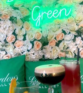 Lancing Hotel | Beach Green Hotel