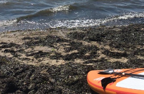 Hamworthy House | Beach Point
