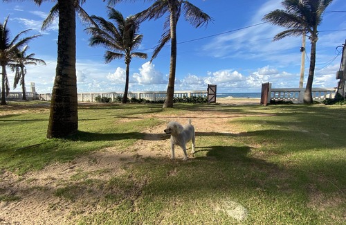 Flecheiras House | Beachfront house in Condado da Praia - 7 to 10 air-conditioned suites