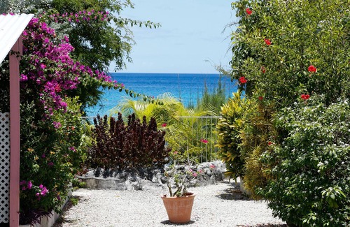 Derricks Apartment | Beachside Apartment #1 - steps from the beach!
