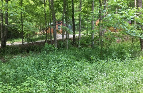 South Bloomingville Cabin | Bear Cabin, Hocking Hills