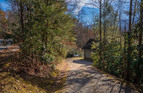 Pittman Center House | Bear Necessity by Stony Brook Cabins