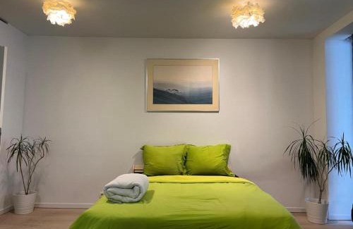 Upper Town Apartment | beau studio (parlement européen)