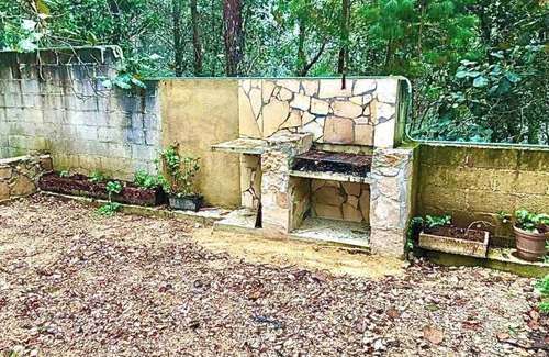 Zinacantan Cabin | Beautiful cabin in the middle of the forest, Cabaña Colibrí.