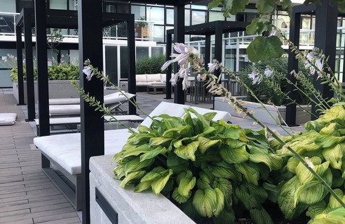 Humber Bay Condo | Beautiful 1-bedroom condo in beautiful Toronto