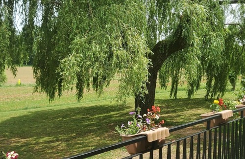 Laussou House | Beautiful 4 bedroom property near to Monflanquin