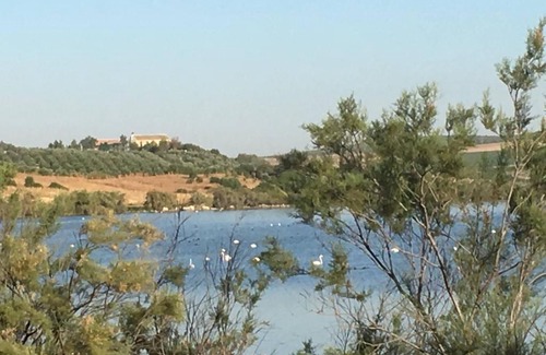 Puente Genil House | Beautiful Accommodation At The Heart Of Andalusia