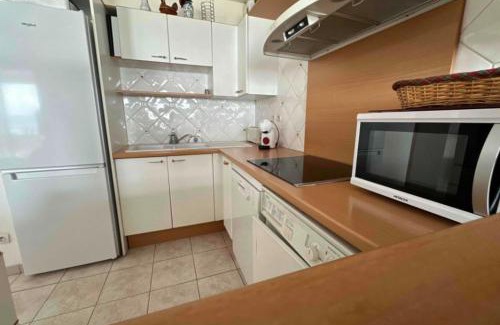 Palavas-les-Flots Apartment | Beautiful apartment with terrace on the seafront