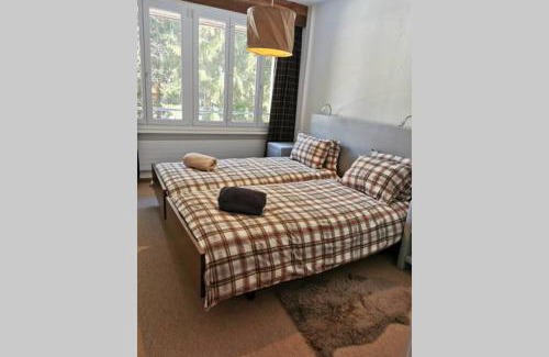 Villars-sur-Ollon Ski Chalet | Beautiful apartment entirely renovated near the center