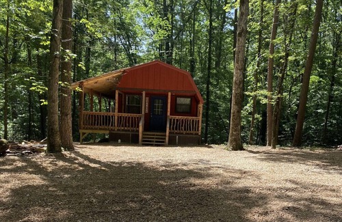 Mount Ida Cabin | Beautiful cabin on a beautiful property. Secluded and quiet! Close to town!