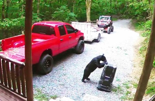 Gatlinburg - Pigeon Forge Apartment | Beautiful Cabin w hot tub Sauna Pool Table