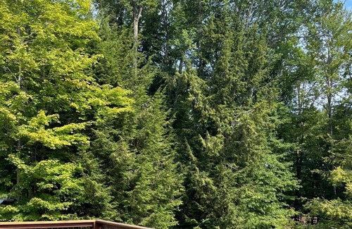Hadley House | Beautiful Great Sacandaga lakefront home. Sleeps 8+. 96' private beach & dock.