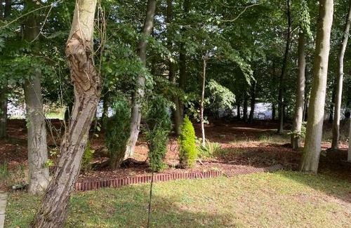 Swarland House | Beautiful Leaf Lane Lodge - 17 Leaf Lane