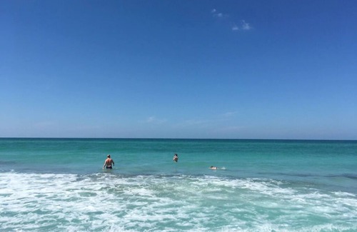 Whitney Beach Resort | Beautiful Longboat Key, Florida - Little Gull Resort