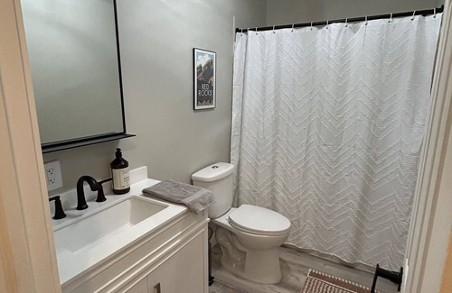 Madison House | Beautiful Madison Home Minutes to UW Campus/Hospital!