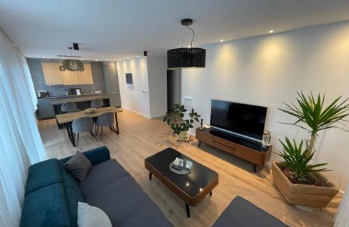 Mali Radic Apartment | Beautiful modern apartment with large livingroom