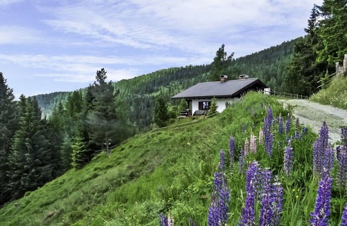 Albeck House | Beautiful private villa for 6 guests with WIFI, TV, terrace and parking