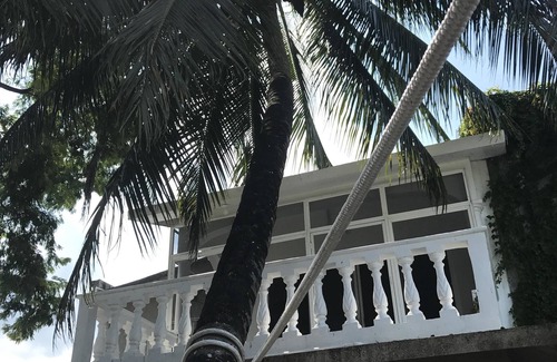 Colonia Independencia House | Beautiful redecorated home in the heart of Cozumel