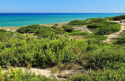 Pirotto Li Frati House | Beautiful villa for 6 people with A/C, pool, WIFI, TV, pets allowed and parking