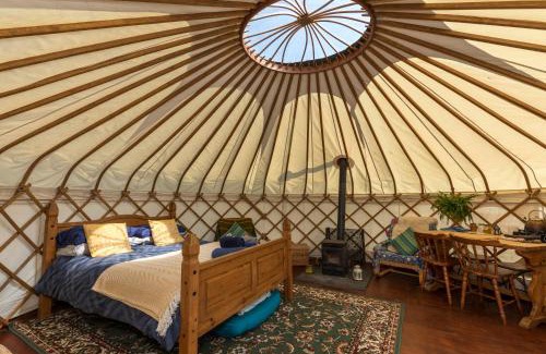 Graffham Other | Beautiful Yurt with stunning South Downs views