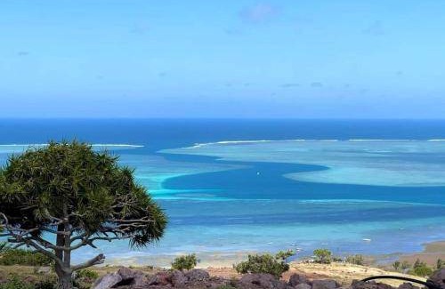 Coromandel Bed & Breakfast | Bed and breakfast ∙ 2 guests