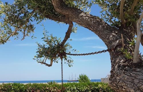 Giovinazzo Bed & Breakfast | Bed & Breakfast del Faro