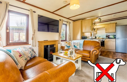 Otterham Apartment | Beech Lodge- Orchard Lodge No 2