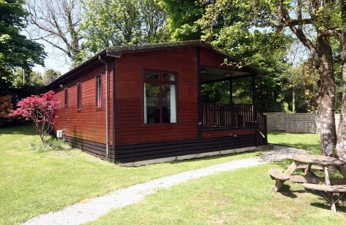 Otterham Apartment | Beech Lodge- Orchard Lodge No 2