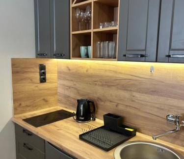 Kopaonik Apartment | Bela Reka C308