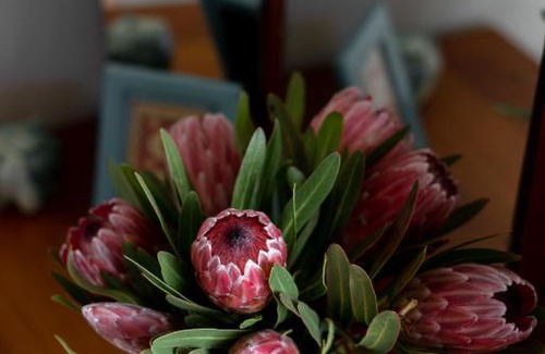Grabouw House | Belfield Wines and Farm Cottages