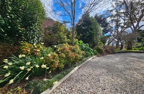 Mount Victoria House | Bellevue - Beautiful View