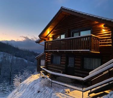 Rasnov Cabin | Bellevue Chalet