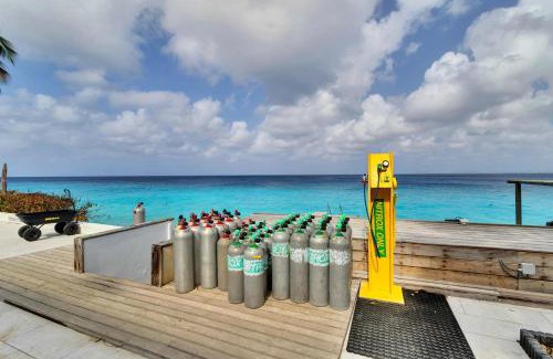 Belnem Apartment | Belmar Oceanfront Apartment 14 Divers Paradise