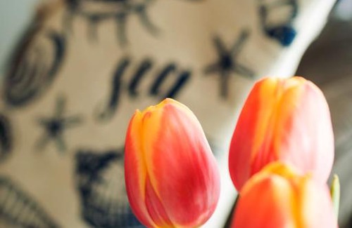 Municipality of Katwijk Bed & Breakfast | BenB van Beelen