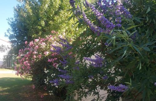 Arles Bed & Breakfast | Bergerie d'Alivon en Camargue