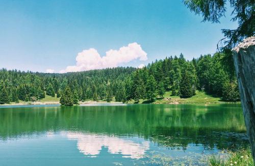 Senale San Felice House | Berggasthof Pension Pfitscher