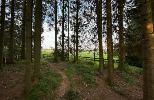 Buntenbock House | Bergwiesenblick38678