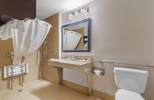 McDonough Hotel | Best Western Plus McDonough Inn & Suites