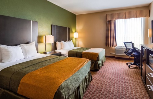 Houston Hotel | Best Western Plus North Houston Inn & Suites
