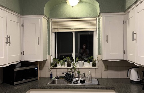 Detroit House | Better than a hotel/pet friendly home