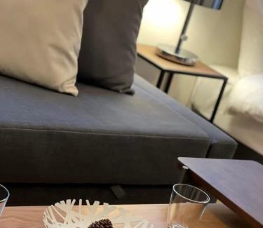 Hiroshima City Centre Apartment | bHOTEL Nekoyard - Loft Studio 5 Min Walk to Peace Park