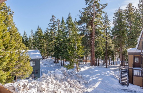 Majestic Pines Condo | Bigwood #90 Bldg. W