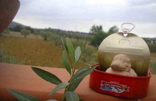 Pratantico House | Biolento Home